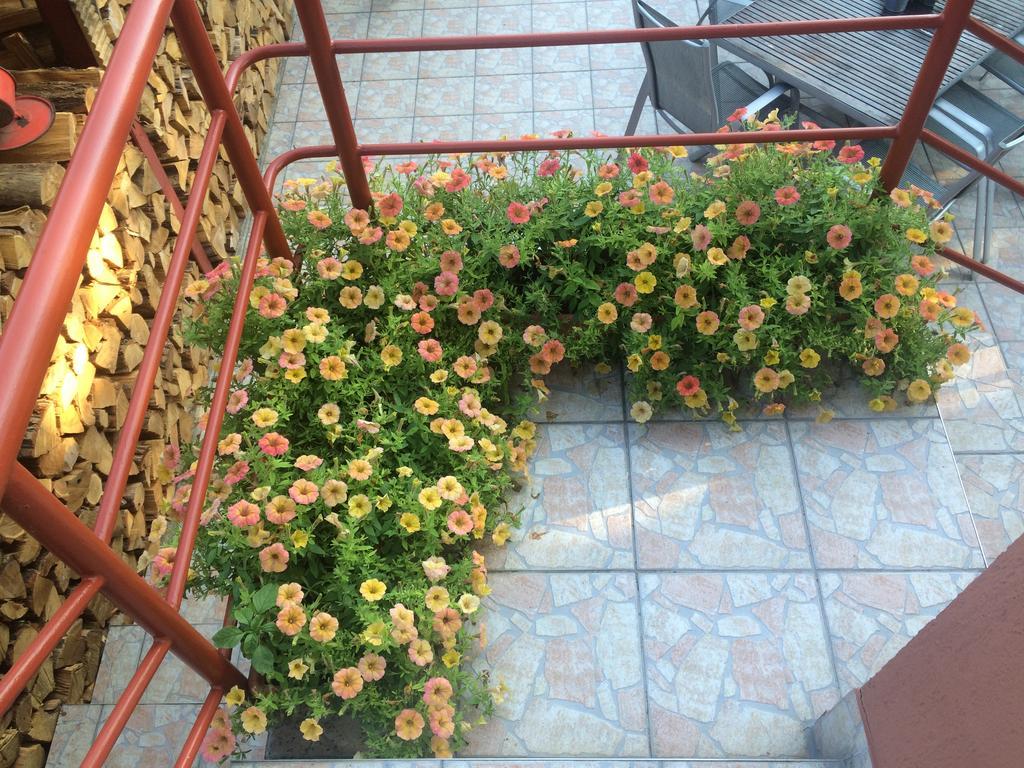 Hotel Nyirjes Vendeghaz Balassagyarmat Zewnętrze zdjęcie