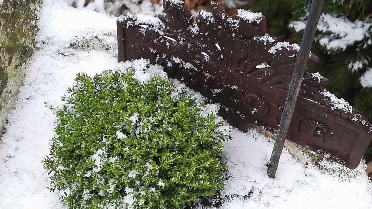 Hotel Nyirjes Vendeghaz Balassagyarmat Zewnętrze zdjęcie
