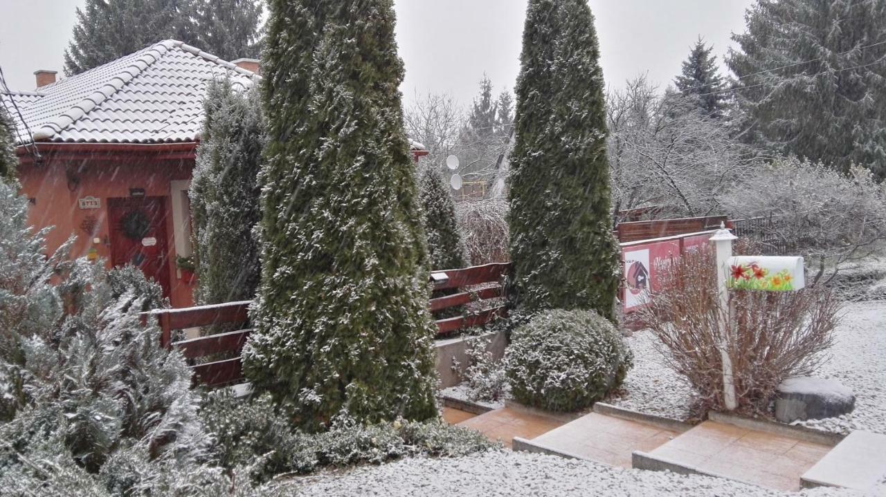 Hotel Nyirjes Vendeghaz Balassagyarmat Zewnętrze zdjęcie